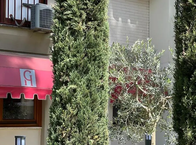 Gemelli